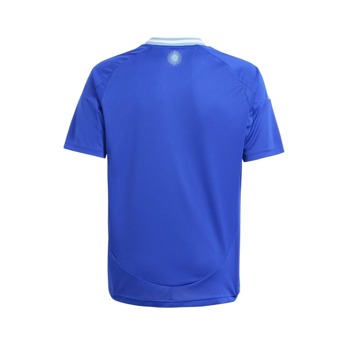 Argentina Alternativa 24/25 - Copa América 2024