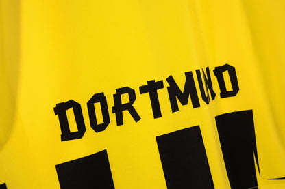 Dortmund 2012/13